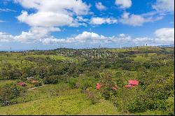 Lago Arenal Estates