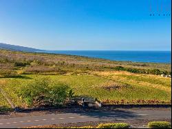 Ki'ilae Farms Land