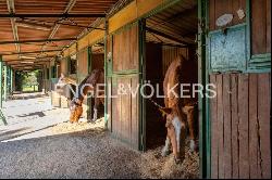 The equestrian paradise of Chianti