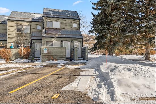 761 Rainbow Drive,Silverthorne, CO, 80498