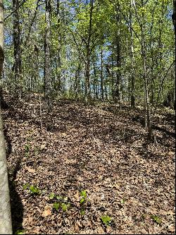 30 Hidden Ridge Loop