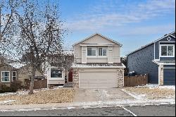 Move-In Ready in Prime Highlands Ranch Location!