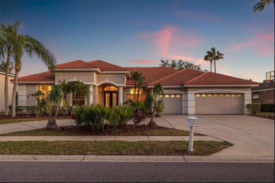 3830 MORENO DRIVE, PALM HARBOR, FL, 34685, USA