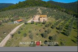 414-HA ESTATE WITH HUNTING RESERVE FOR SALE IN UMBRIA