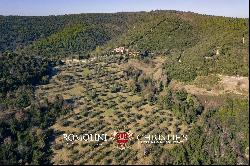 414-HA ESTATE WITH HUNTING RESERVE FOR SALE IN UMBRIA