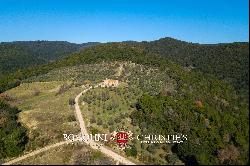 414-HA ESTATE WITH HUNTING RESERVE FOR SALE IN UMBRIA