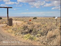 167 N N9300, Concho AZ 85924