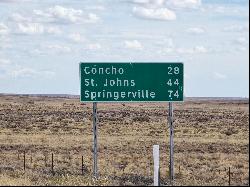 167 N N9300, Concho AZ 85924