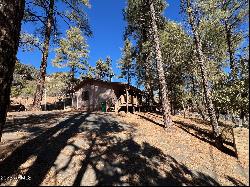 6868 W Hardscrabble Mesa Road, Pine AZ 85544