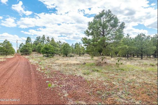 Lot 36 S 100 S Hot Rod Alley, Parks AZ 86018