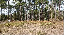 5970 W Inland Court, Dunnellon FL 34433