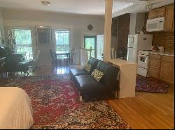 60 Thomas Park #1, Boston MA 02127