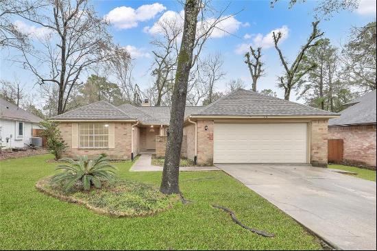 15 S Tallowberry Drive, Spring TX 77381