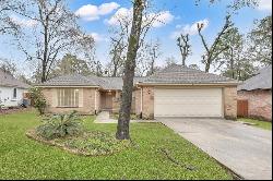 15 S Tallowberry Drive, Spring TX 77381