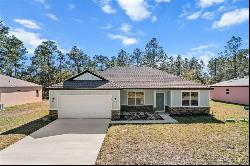 3672 W Lappula Lane, Citrus Springs FL 34433