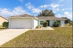 15204 Margaux Drive, Clermont FL 34714