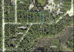 34085 Arrowrock Street, Webster FL 33597