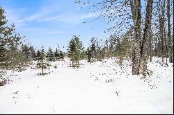 6135 Fawn Lake Drive, Stanwood MI 49346