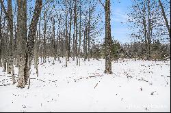 6135 Fawn Lake Drive, Stanwood MI 49346