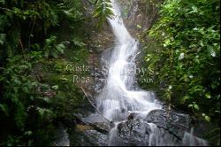 1,000 acre conservation cloud forest with waterfall and ecolodge