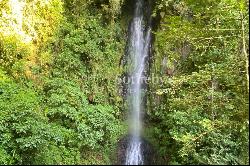 1,000 acre conservation cloud forest with waterfall and ecolodge