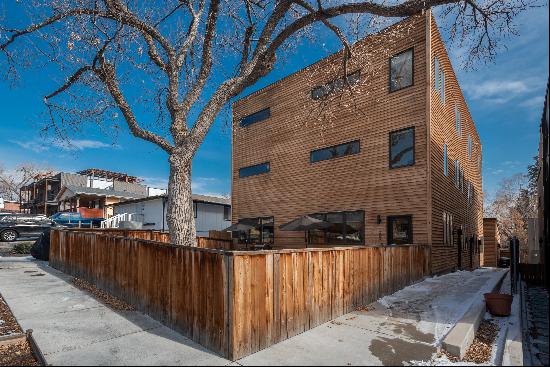 Modern-Luxury Townhome with Private Yard