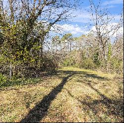 3+/- Acre City Lot Nestled in a Thriving Community