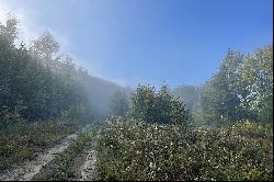 La Minerve, Laurentides