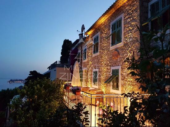 Roquebrune-Cap-Martin - Exceptional villa with panoramic sea view