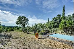 Property with a view of Lourmarin Castle