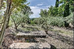 Property with a view of Lourmarin Castle