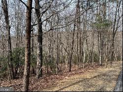 Lot 4 Monument Falls Road, Jasper GA 30143