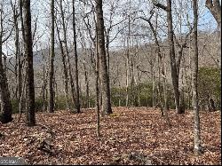 Lot 4 Monument Falls Road, Jasper GA 30143