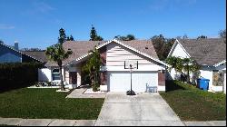 8731 Boysenberry Drive, Tampa FL 33635