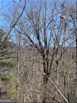 Jones Mountain Road, Talking Rock GA 30175