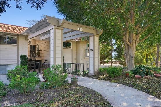 3271 San Amadeo #P, Laguna Woods CA 92637