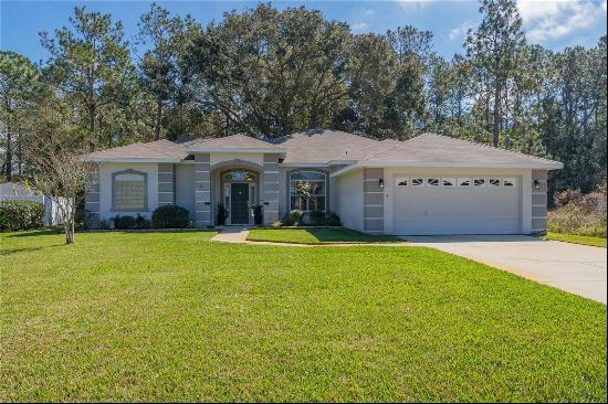 3 Walnut Place, Palm Coast FL 32164