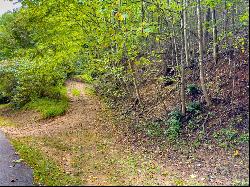 18 Lots Covered Bridge Trl, Fancy Gap VA 24328