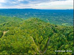 1.5 Acre Starry Nights Dr #21, Fancy Gap VA 24328