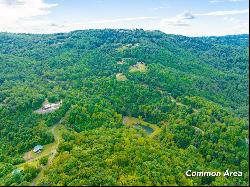 1.5 Acre Starry Nights Dr #21, Fancy Gap VA 24328