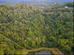 1.5 Acre Starry Nights Dr #21, Fancy Gap VA 24328