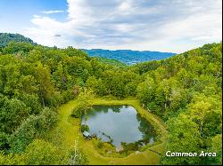 1.5 Acre Starry Nights Dr #21, Fancy Gap VA 24328