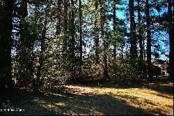 325 Mill Road, Vanceboro NC 28586