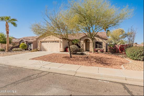 13208 W Desert Rock Drive, Surprise AZ 85374