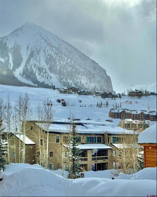 11 Hunter Hill Road Unit 406, Mt. Crested Butte CO 81225