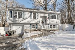 336 Mountainside Dr, Vernon Twp. NJ 07462