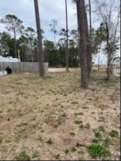 15375 Dauphin Island Parkway, Coden AL 36523