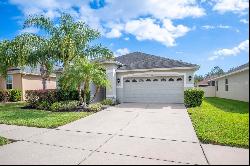 3144 Granite Ridge Loop, Land O Lakes FL 34638