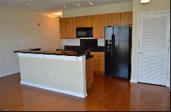 388 Boush Street Unit 309, Norfolk VA 23510