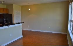 388 Boush Street Unit 309, Norfolk VA 23510